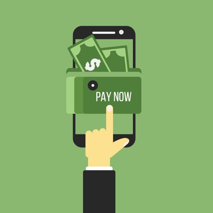 How iSkylar Built a Secure, Scalable Mobile Payment Platform That Reduced Cash Dependency by 60%